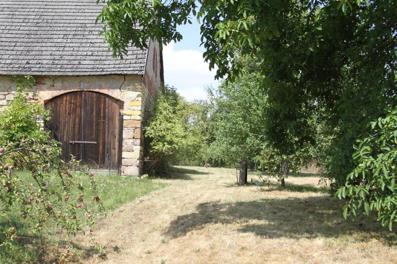 Zderaz Pardubice Countryside Vacation Home Near Prosec Eksteriør billede